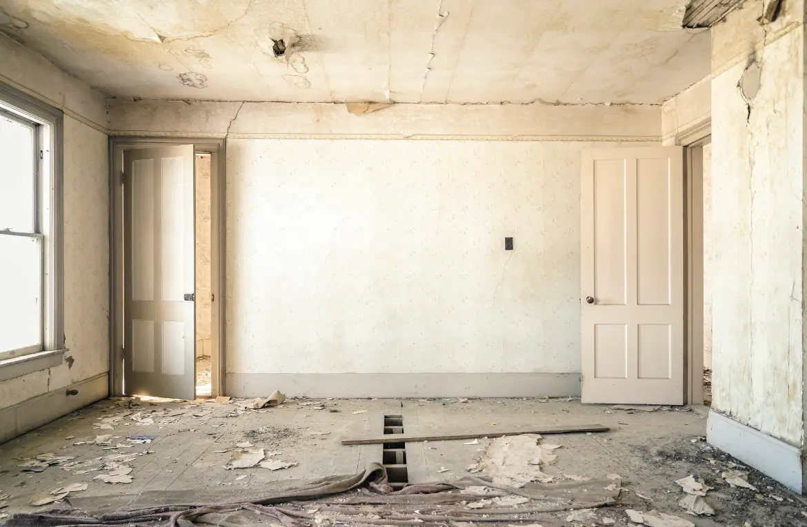 Waste disposal crew managing a cleanout project in Lahaina